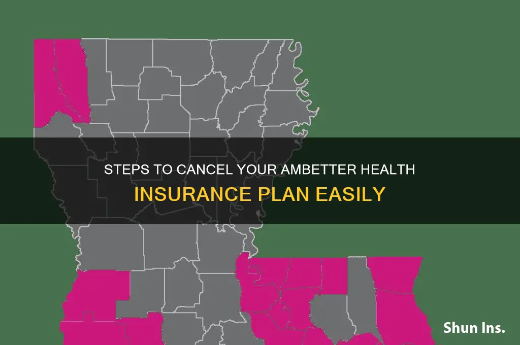 how to terminate ambetter insurance