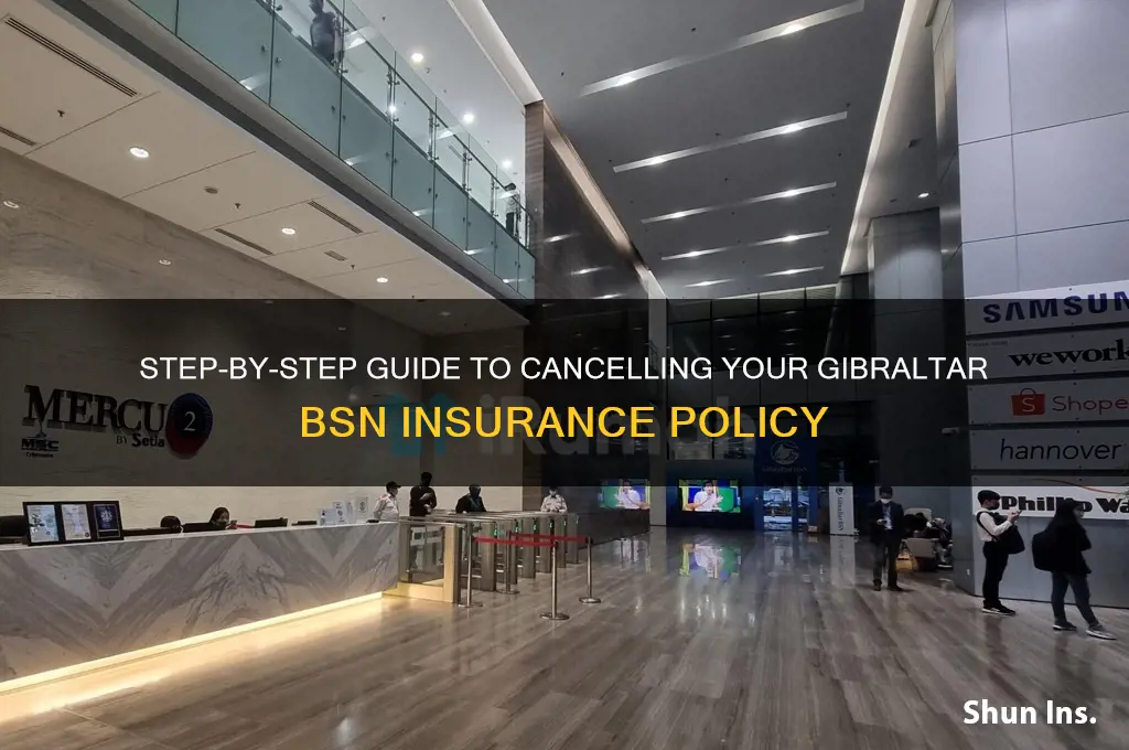 how to terminate gibraltar bsn insurance