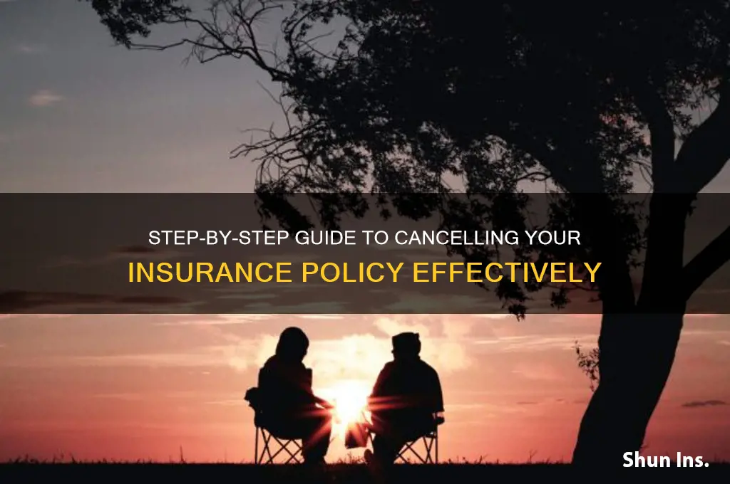 how to terminate insurance