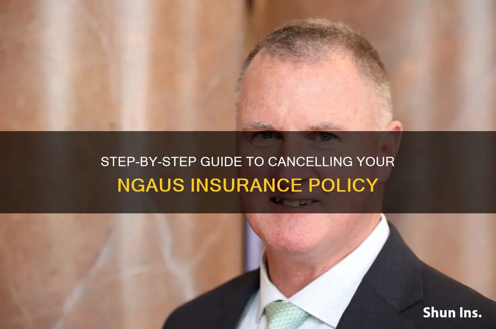 how to terminate ngaus insurance