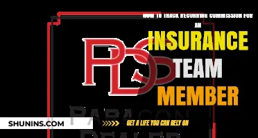 Efficiently Tracking Recurring Commissions for Insurance Team Members