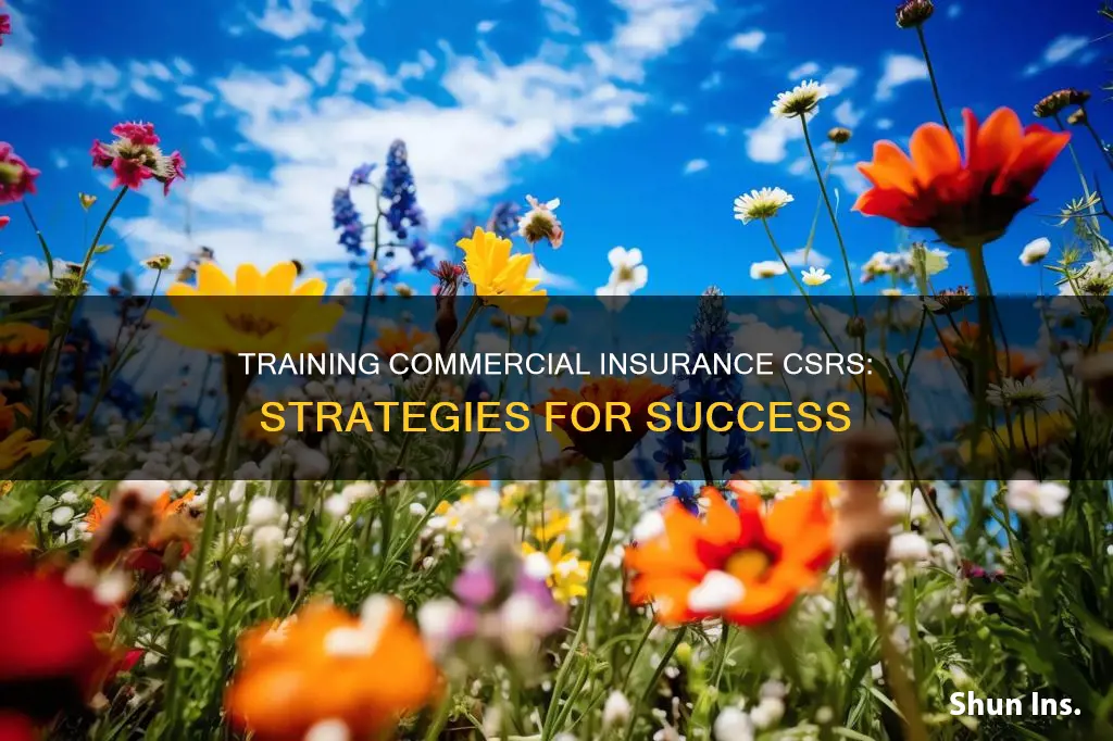 how to train commercial insurance csr