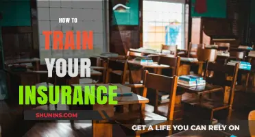 Mastering Insurance Training: Strategies to Optimize Your Coverage and Savings