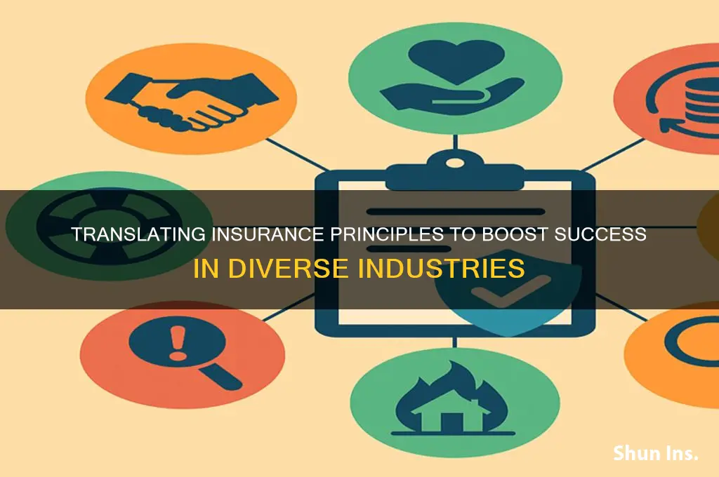 how to translate insurance to other industry