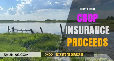 Maximizing Crop Insurance Proceeds: Effective Strategies for Farmers' Financial Recovery