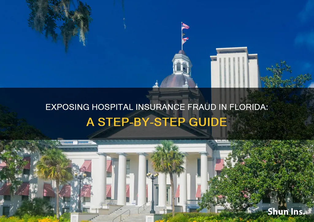 how to turn a hospital in for insurance fraud florida