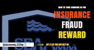 Report Insurance Fraud: Earn Rewards for Exposing Scammers