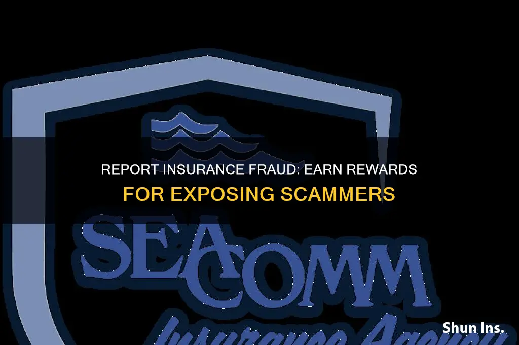 how to turn someone in for insurance fraud reward