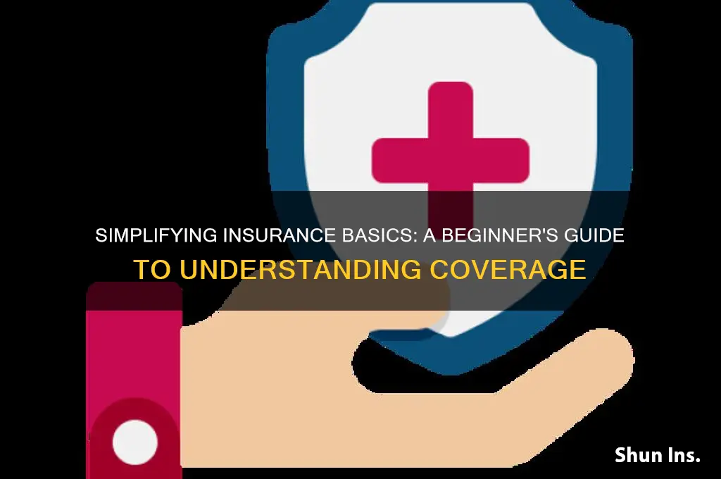 how to understand insurance for dummies