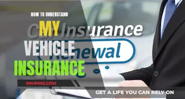 Understanding Vehicle Insurance: A Simple Guide