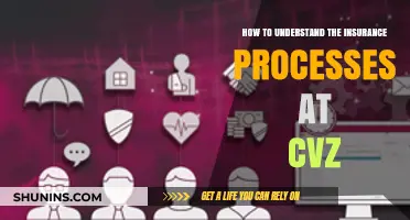 Mastering CVZ Insurance: A Comprehensive Guide to Understanding Processes