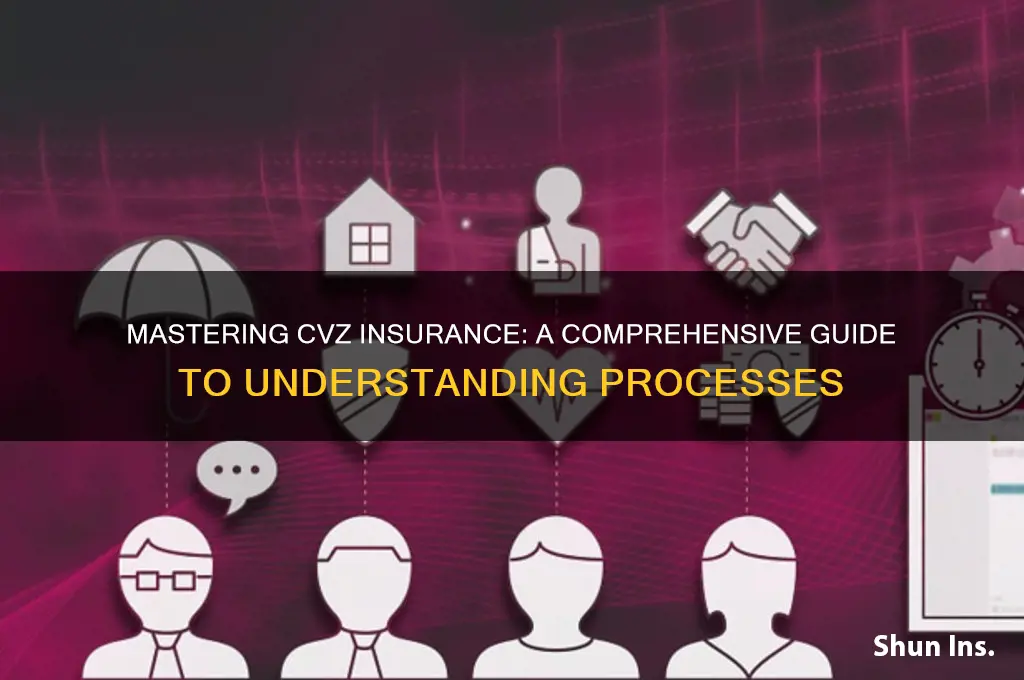 how to understand the insurance processes at cvz
