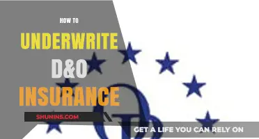 Mastering D&O Insurance Underwriting: Essential Strategies for Risk Assessment