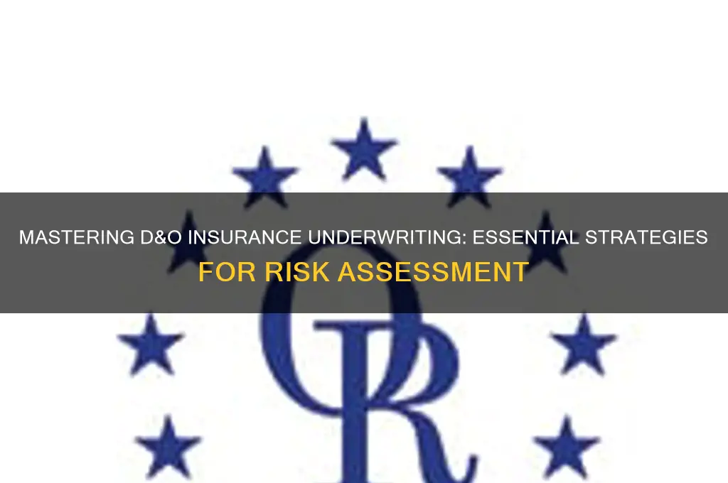 how to underwrite d&o insurance