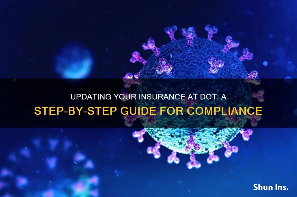 how to update insurance at dot