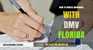 Updating Your Insurance: Florida DMV Guide