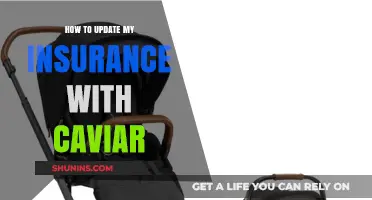 Updating Your Insurance with Caviar: A Step-by-Step Guide for Couriers