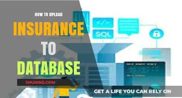 Efficiently Uploading Insurance Data: A Step-by-Step Database Guide