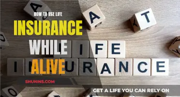 Using Life Insurance: Benefits While Alive