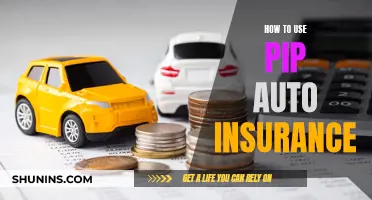 Using Pip Auto Insurance: A Comprehensive Guide