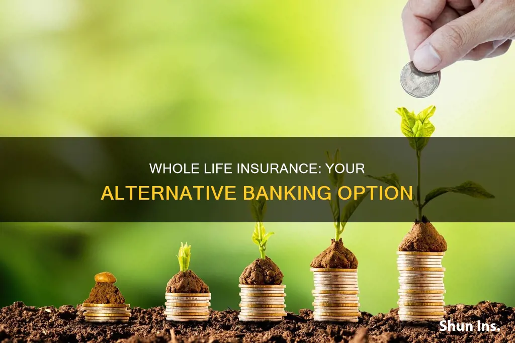 how to use whole life insurance as a bank