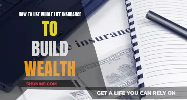 Whole Life Insurance: Building Wealth Through Long-Term Policies