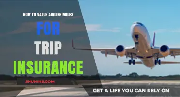 Maximizing Airline Miles: Valuing Trip Insurance Benefits Effectively
