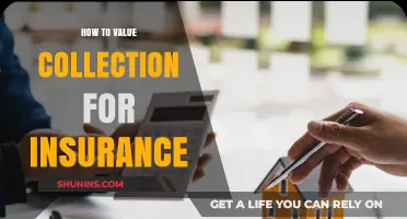 Valuing Your Collection for Insurance: A Comprehensive Guide to Appraisal