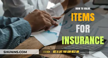 Valuing Your Possessions: A Guide to Accurate Insurance Appraisals