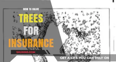 Valuing Trees for Insurance: A Comprehensive Guide to Appraisal and Coverage