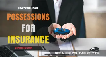 Valuing Your Possessions: A Comprehensive Guide for Insurance Coverage