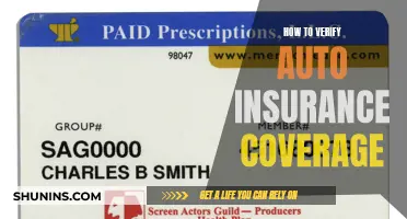 Verify Auto Insurance Coverage: Quick Guide