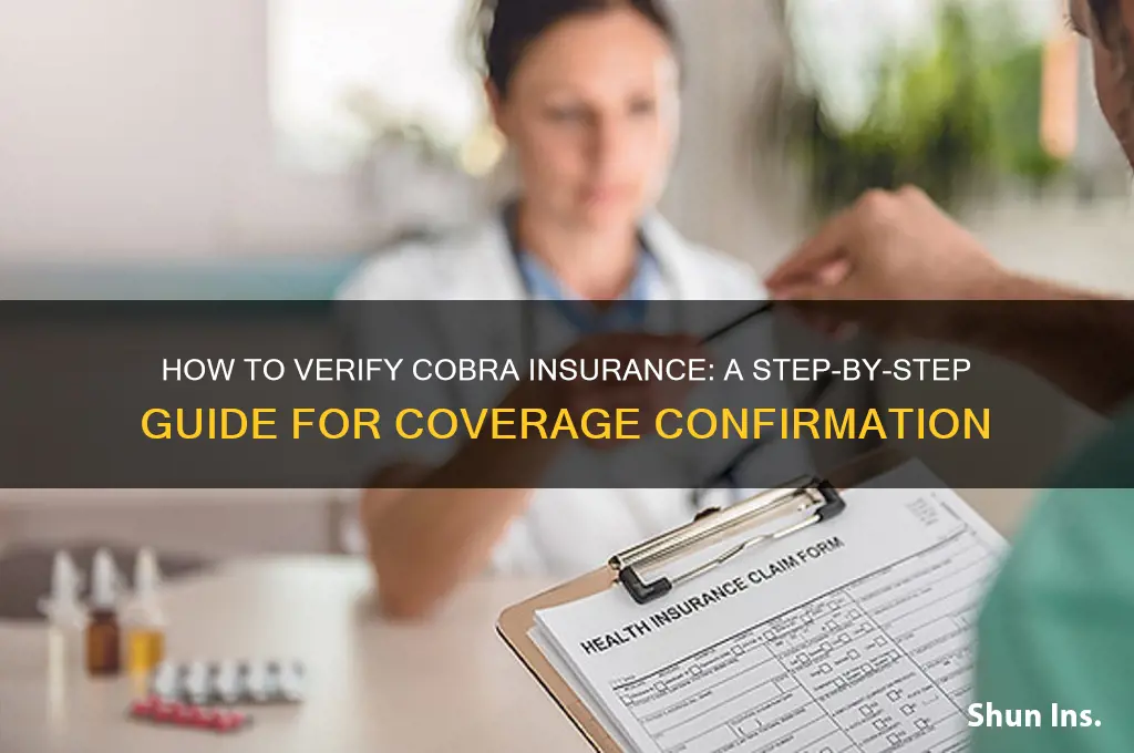 how to verify cobra insurance