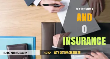 Verify E&O Insurance: Essential Steps for Professionals and Businesses