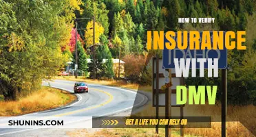 Verify Insurance with DMV: A Step-by-Step Guide for Drivers