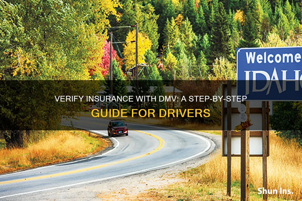 how to verify insurance with dmv