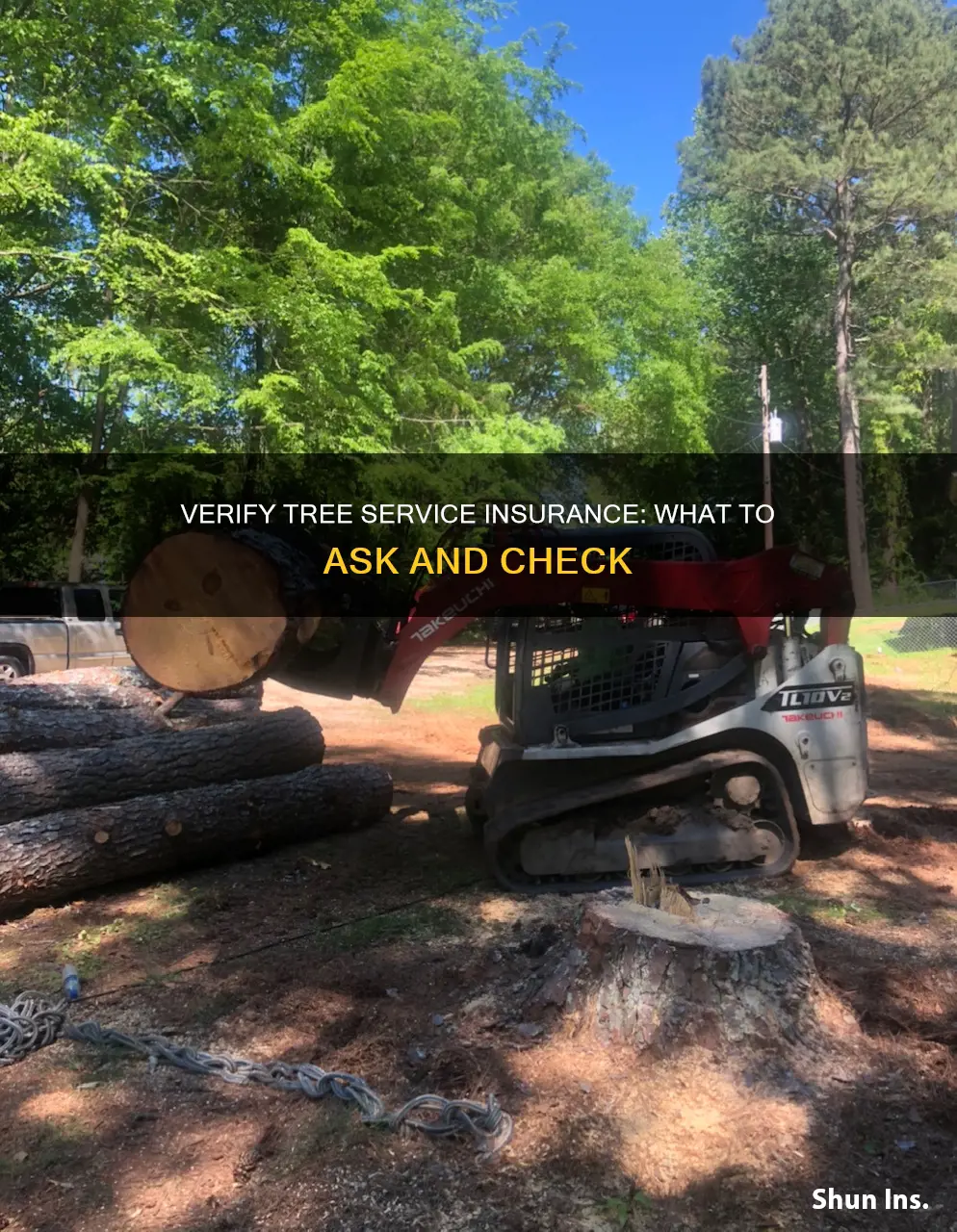 how to verify tree service insurance