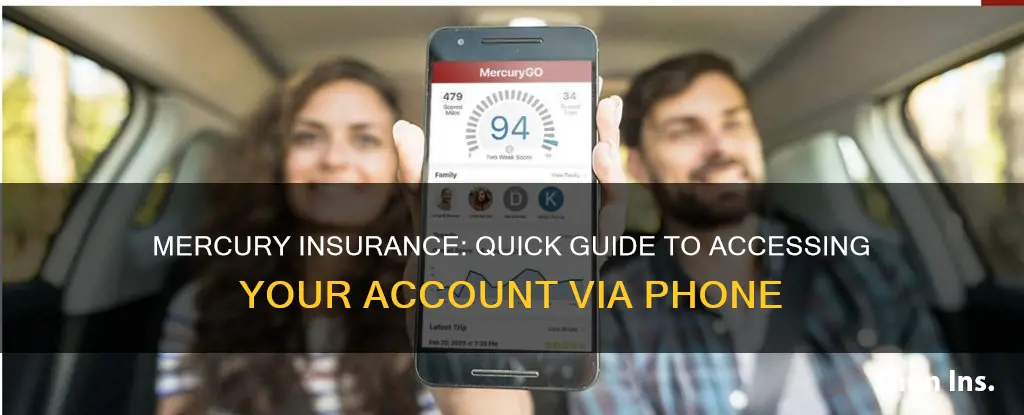 how to view account for mercury insurance over phone