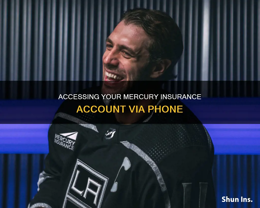 how to view account for mercury insurance over phone