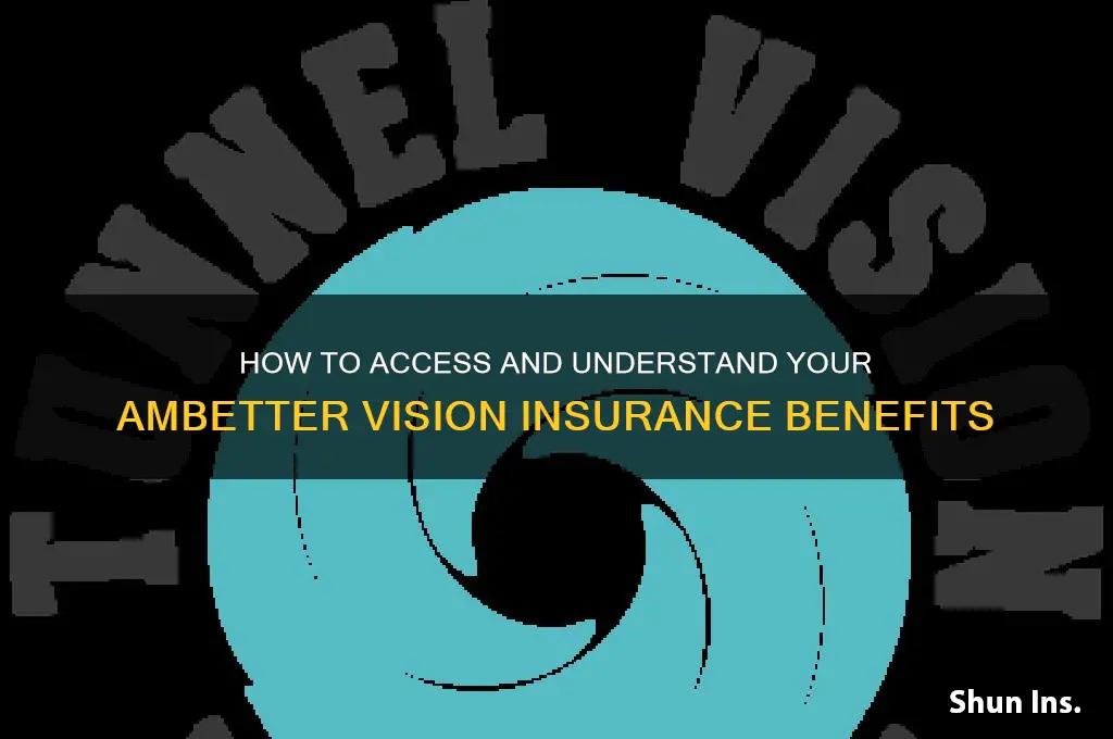 how to view ambetter insurance vision