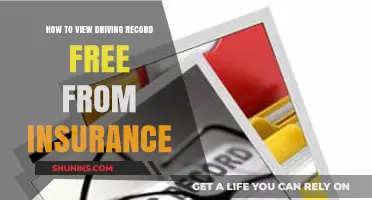 View Your Driving Record for Free: A Guide to Accessing Your History