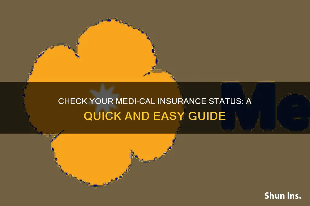 how to view my medi cal insurance status