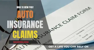 Accessing Your Auto Insurance Claims History: A Step-by-Step Guide