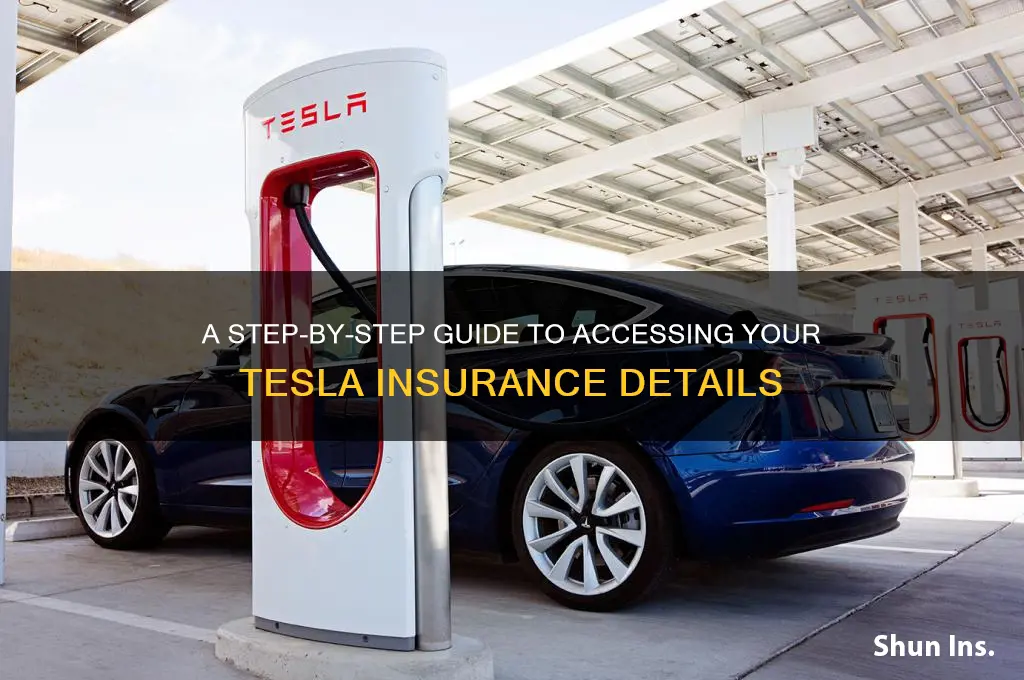 how to view tesla insurance