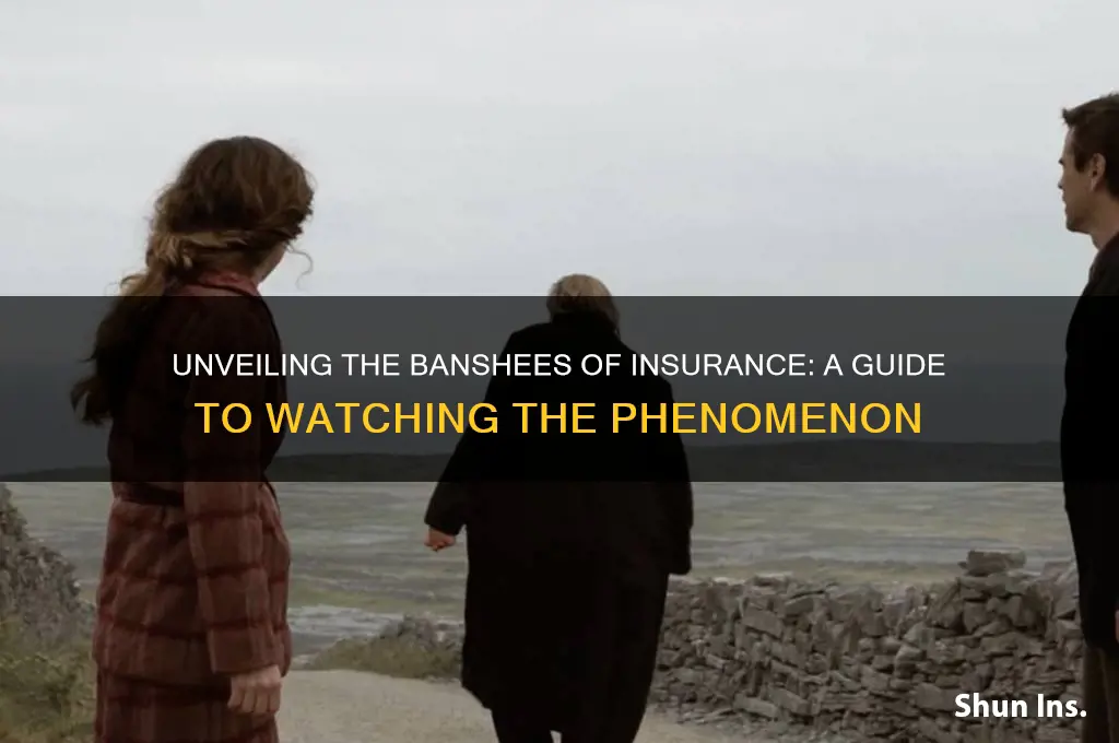 how to watch the banshees of insurance