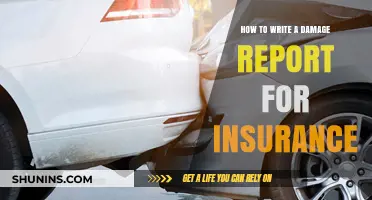 Writing Damage Reports: A Guide for Insurance Claims
