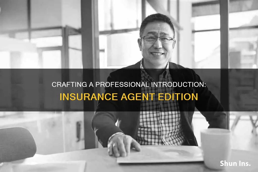 how to write a professional introduction insurance agent