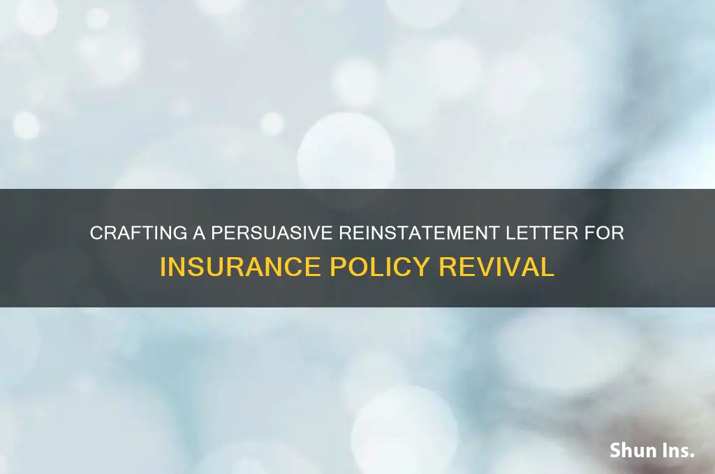 how to write a reinstatement letter for insurance
