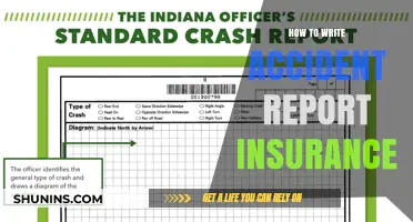 Writing Insurance Reports: A Step-by-Step Guide