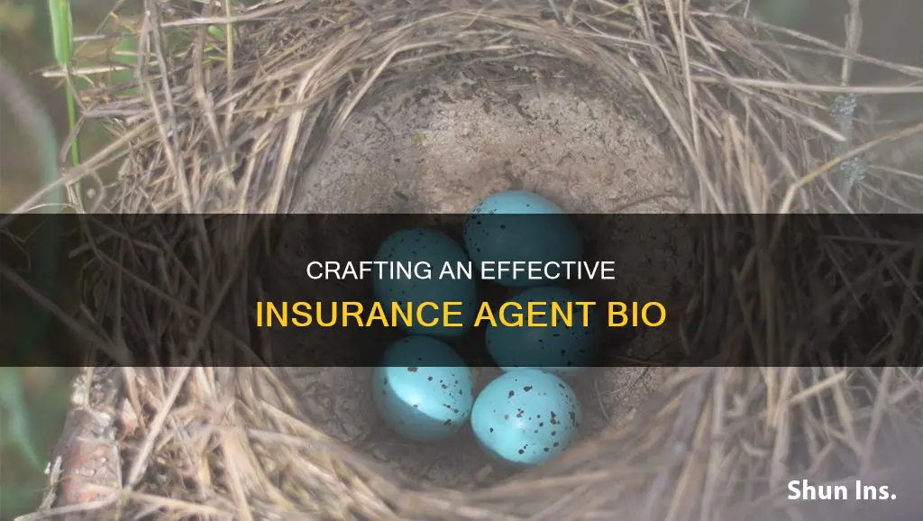 how to write an insurance agent bio